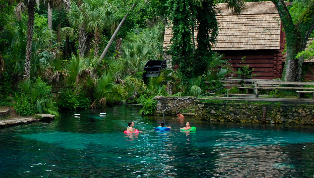 Juniper Springs 3