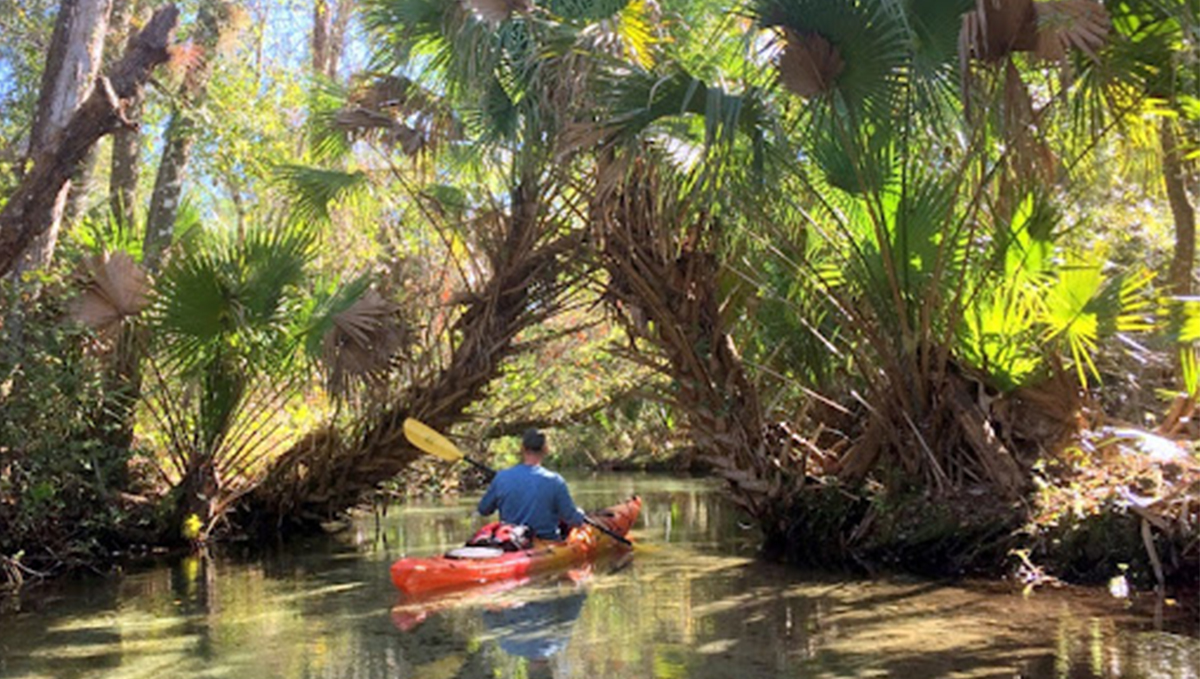 Juniper Springs 5
