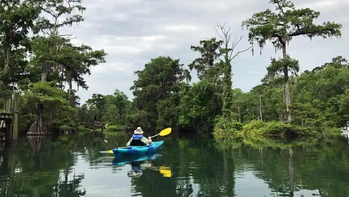 welaka state forest 3